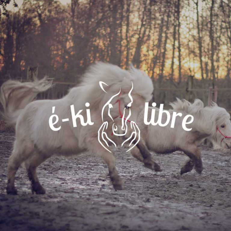 logo-e ki libre